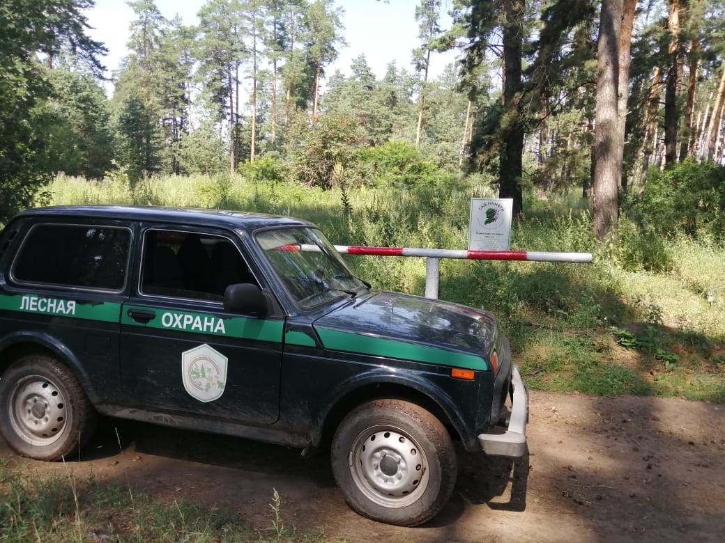  обеспечивают пожарную безопасность в лесах 