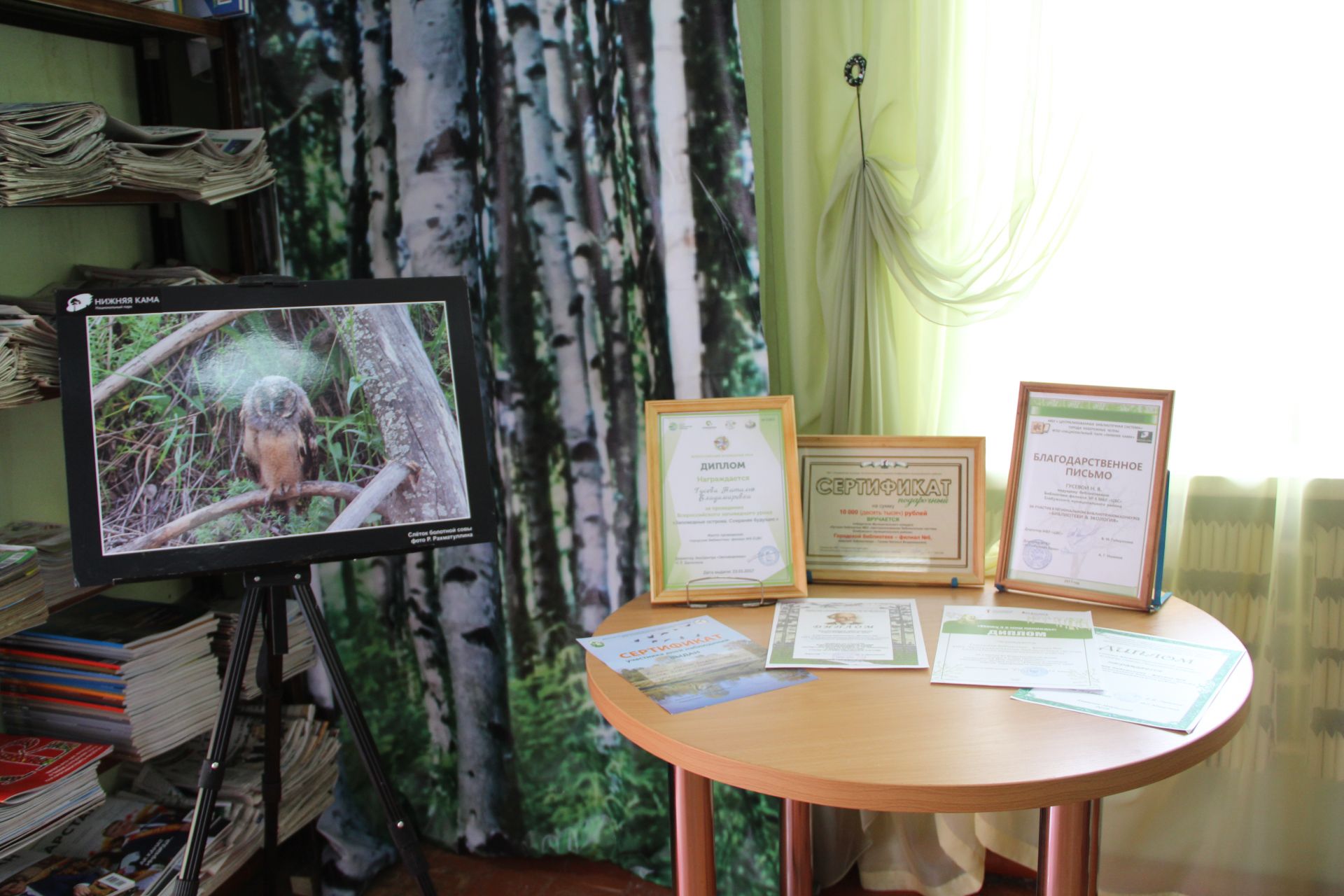 В Елабуге торжественно открылась "Эко-Библио-Школа "Азбука экологии"