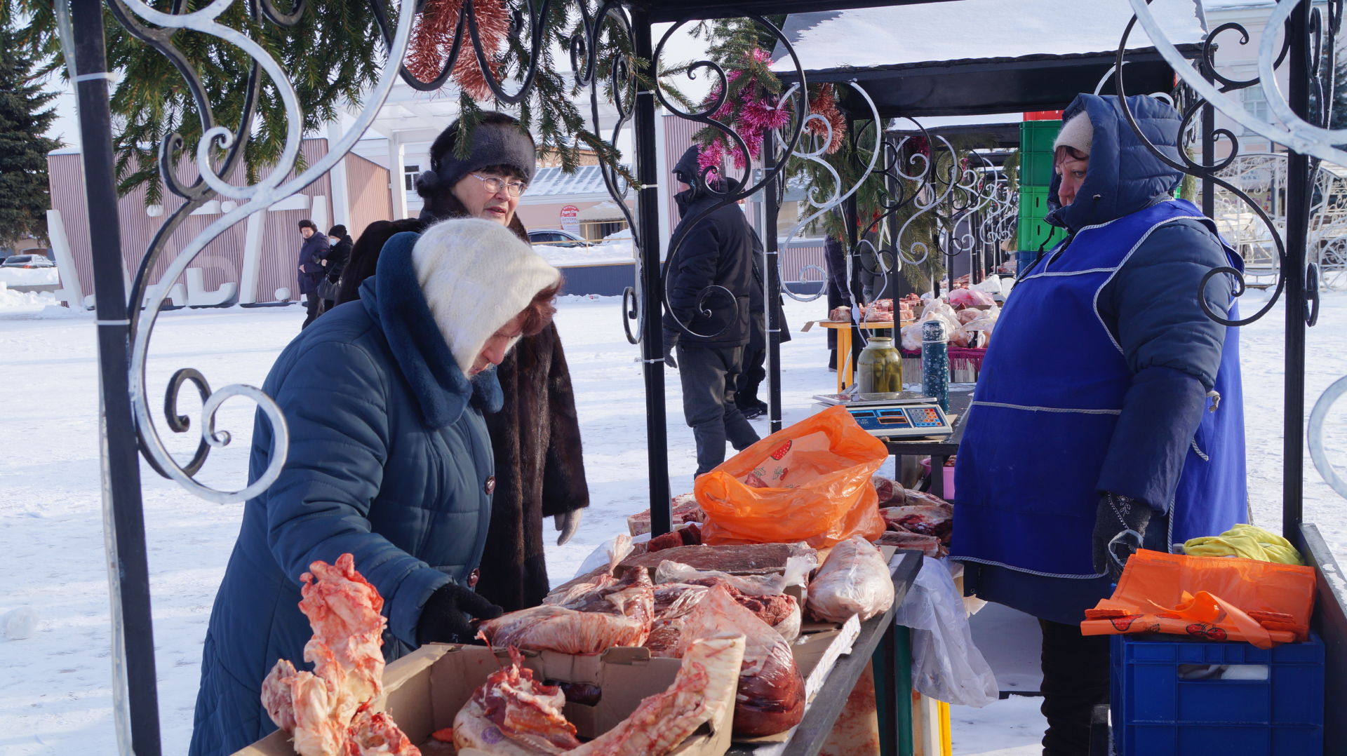 В Елабуге продолжаются весенние сельскохозяйственные ярмарки