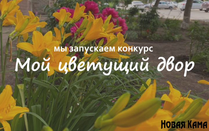 Сайт "Новая Кама" объявил фотоконкурс "Мой цветущий двор"