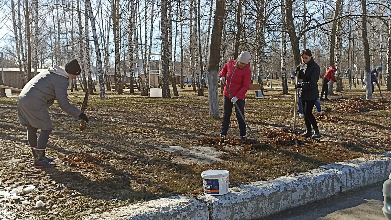 В Елабуге проходит общегородской средник