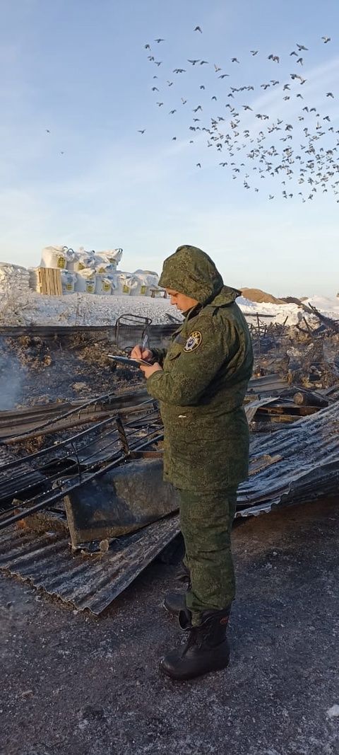 Следком РТ: после пожара в Елабужском районе возбуждено уголовное дело