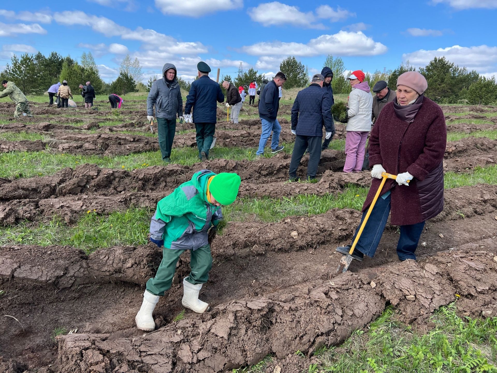 Елабужане в рамках акции «Сад памяти» посадили около 4 тысяч саженцев сосны