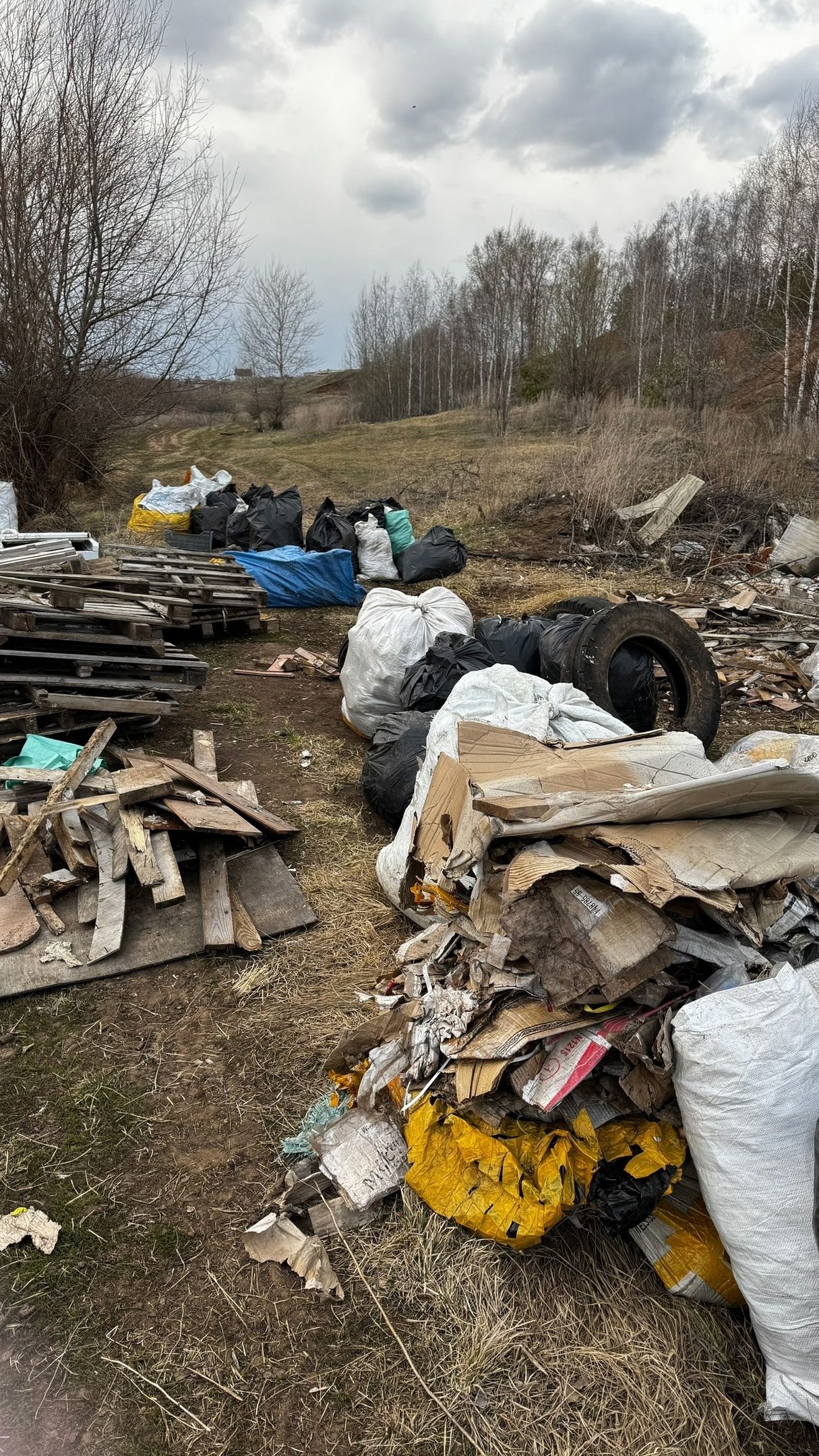 Елабужанин запустил эко-проект с денежными призами за уборку города