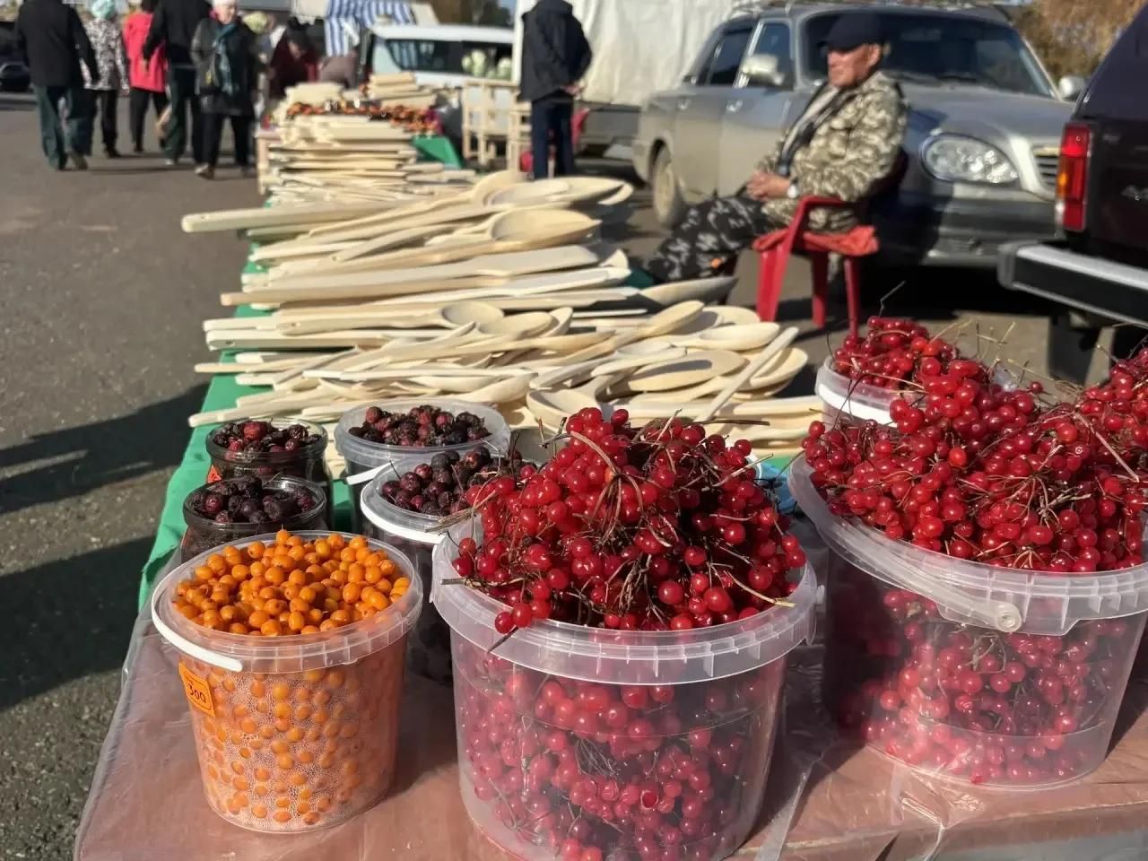 В Елабуге проходит сельскохозяйственная ярмарка с широким ассортиментом товаров
