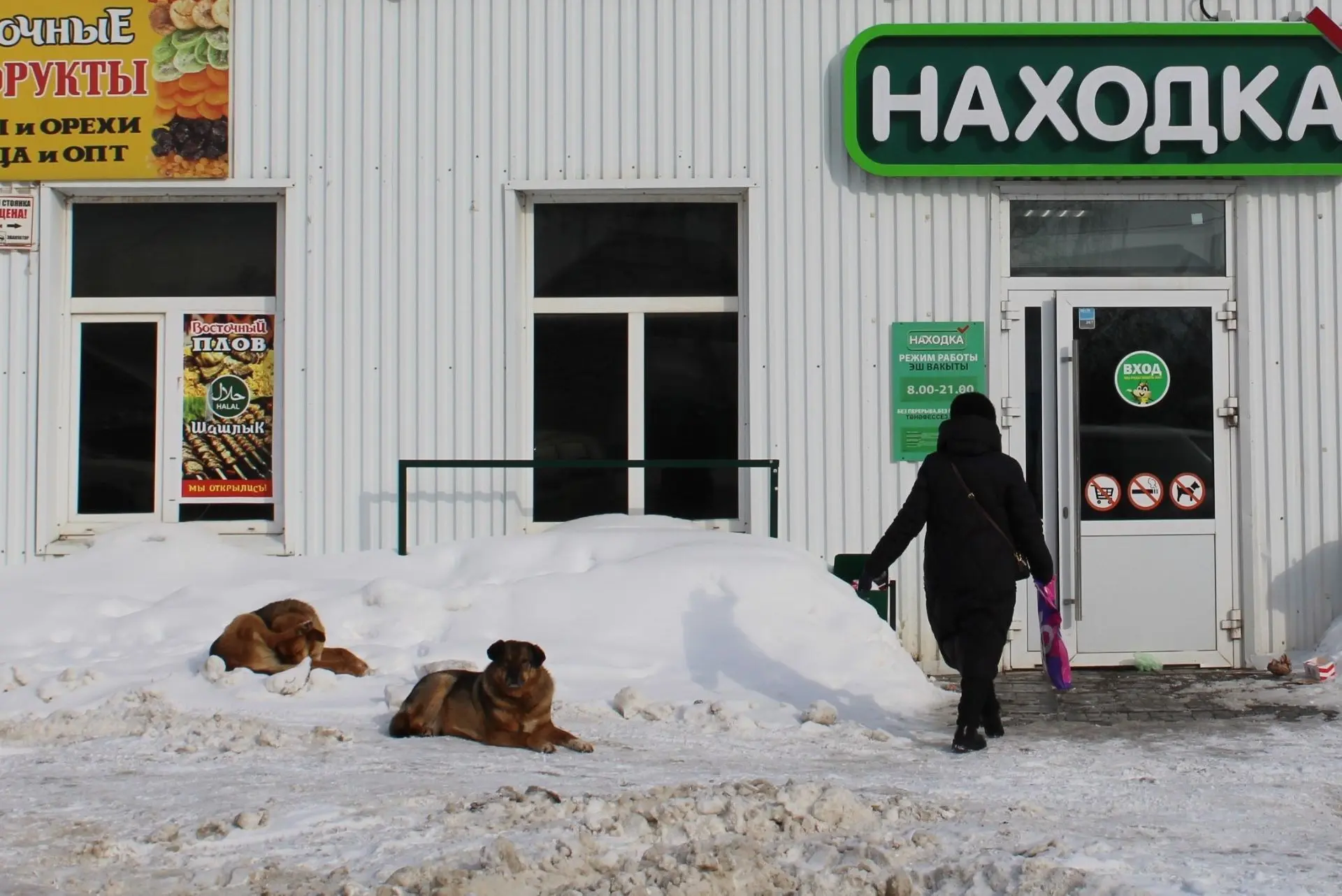 В Елабуге проверили места обитания бездомных животных