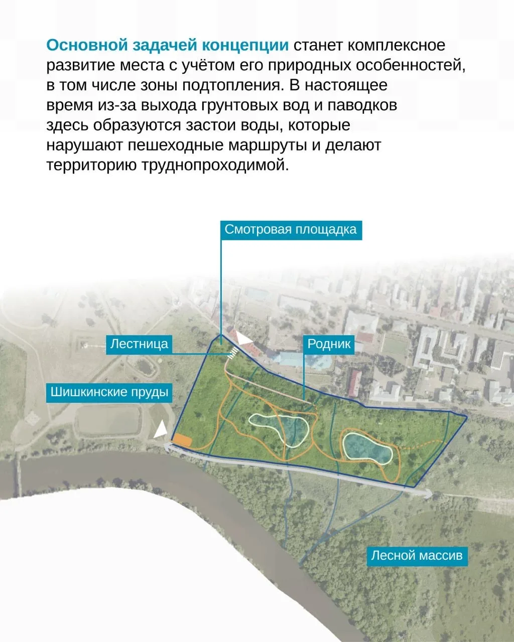 В Елабуге появится пойменный парк — «Шишкинские просторы»