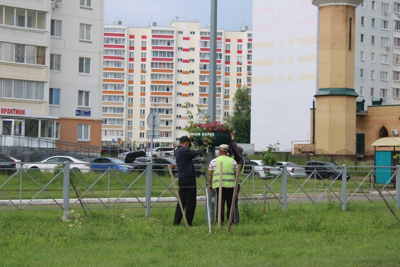 На улице Хирурга Нечаева в Елабуге устанавливают вазоны с цветами