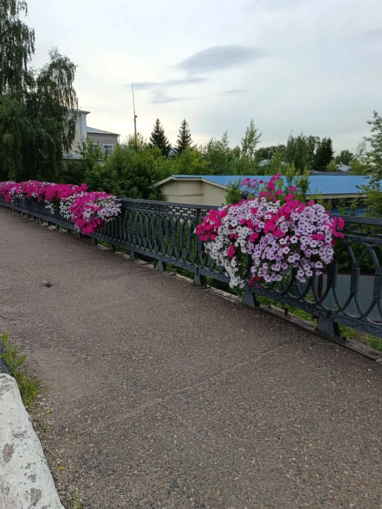 В Елабуге нашли подростков, сбрасывавших клумбы с моста на Казанской