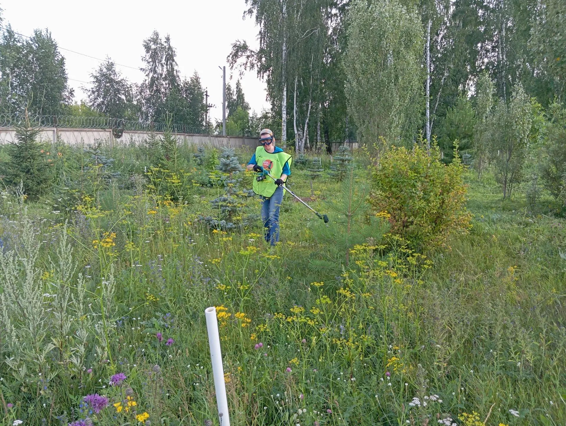Волонтеры провели очередной агроуход в Зеленом сквере Елабуги