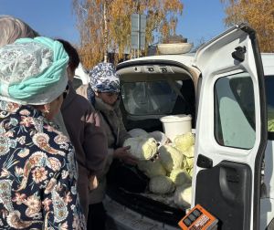 В Елабуге проходит сельскохозяйственная ярмарка с широким ассортиментом товаров