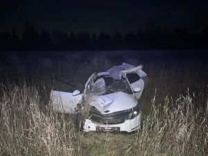 В Елабужском районе пассажирка погибла после наезда автомобиля на лося