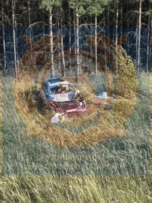 В Елабужском районе водитель Chery Tiggo погиб после опрокидывания автомобиля