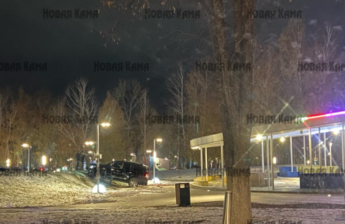 В Елабуге водитель заехал в парк на автомобиле и нанес крупный ущерб
