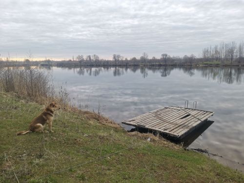 26 марта по народному календарю праздник - Никифоров день