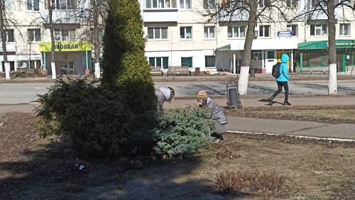 В Елабуге проходит общегородской средник