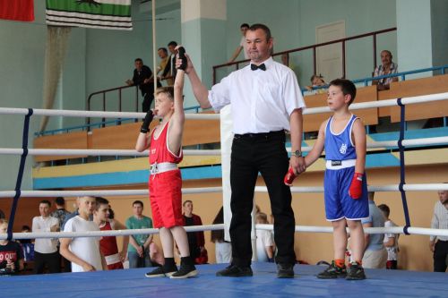 В Елабуге прошел турнир по боксу памяти Марселя Мухутдинова, погибшего в зоне СВО