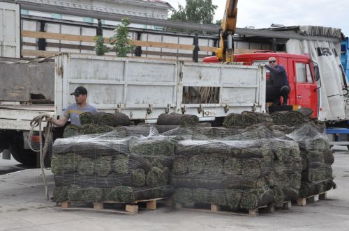 В Елабуге на площади Ленина укладывают газон
