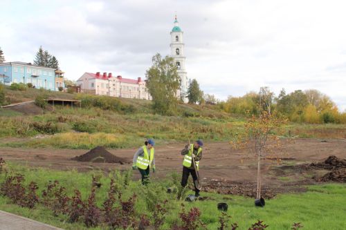 На Шишкинских прудах идет высадка деревьев