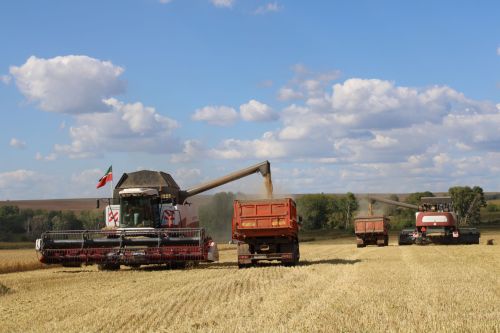 Аграрии Елабужского района завершили уборку