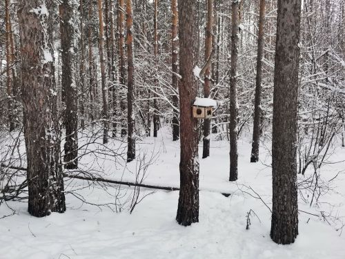 Народные приметы - что нельзя делать 1 января