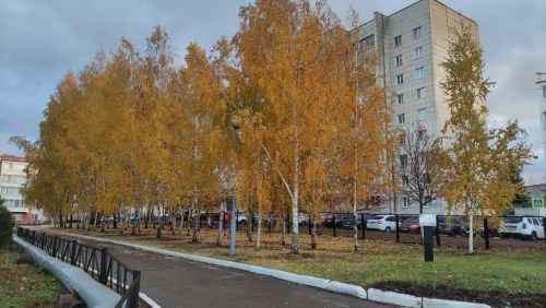 Приметы на 25 октября 2024 года: что категорически запрещается делать в этот день