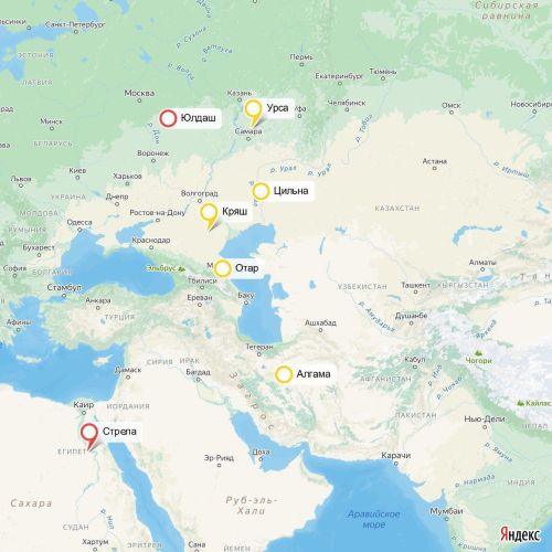 От Калмыкии до Турции - куда улетают осенью елабужские орлы
