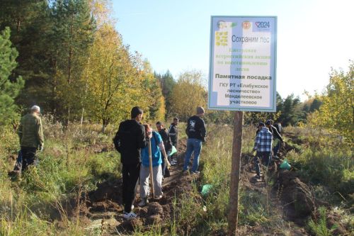 В Елабуге дан старт посадке деревьев