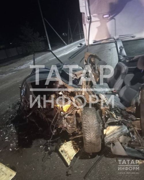 В Татарстане после ДТП спасатели вскрыли крышу авто, чтобы спасти пассажиров