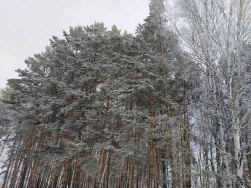 Приметы на 4 февраля 2024 года: что категорически запрещается делать в этот день