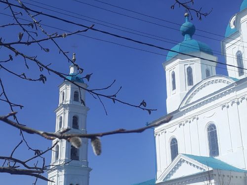 Приметы на 28 апреля: что нельзя и нужно делать в Вербное воскресенье