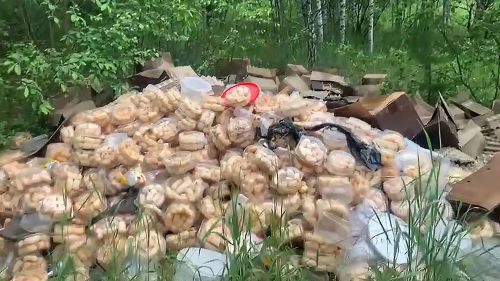 В Татарстане обнаружена свалка из баурсака