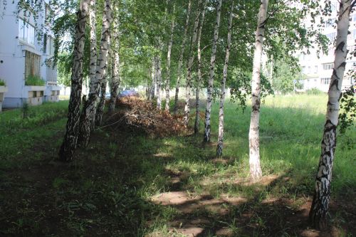 Радеют за чистоту: жители дома 4 по ул. Марджани в Елабуге следят за чистотой двора всем домом...