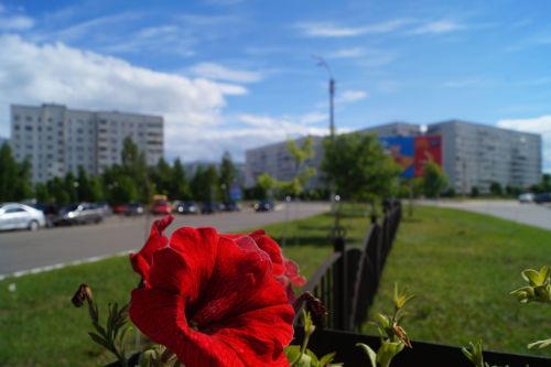 Как изменится жизнь россиян с 1 августа 2024 года
