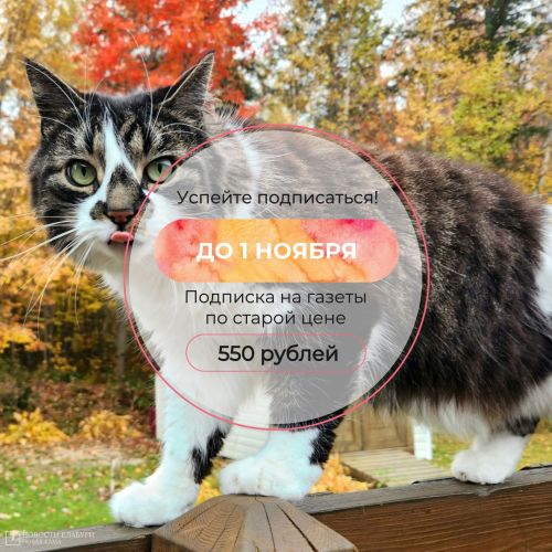 Выпиши «Новую Каму» по старой цене