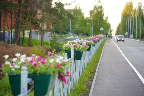 В Елабуге появятся зеленые изгороди