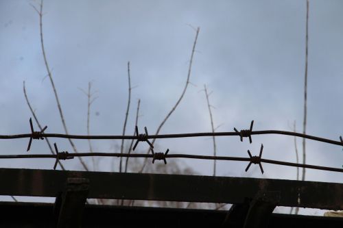 Елабужские подростки попались на крупной краже в магазине