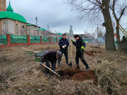 Цветущий сквер Памяти: елабужане вышли на субботник и посадили деревья