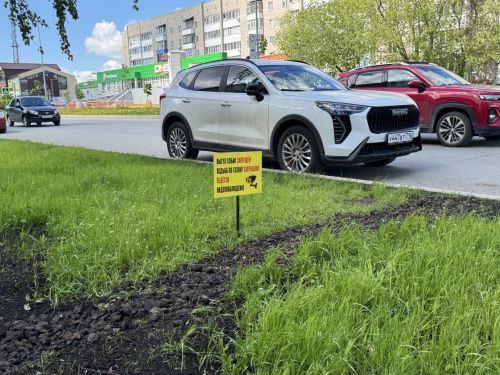 Штраф за газон: в Елабуге наказывают нарушителей