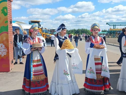 Сабантуй-2025 в Елабуге: полная афиша праздника