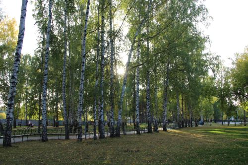 22 июня – Кириллов день: традиции, приметы и запреты Солнцеворота