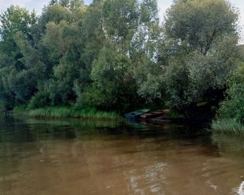 Народные приметы на 18 августа 2025 года: что нельзя делать на Евстигнея Житника