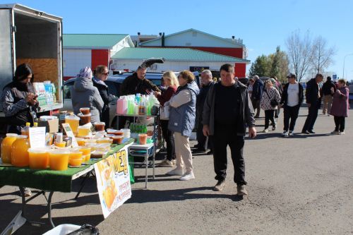 Мясо от 500 рублей, яблоки по 100: в Елабуге открылась сельхозярмарка