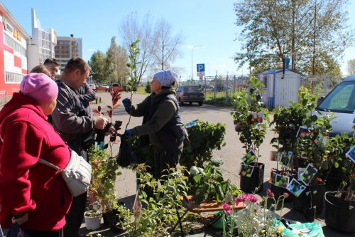 Мясо от 500 рублей, яблоки по 100: в Елабуге открылась сельхозярмарка