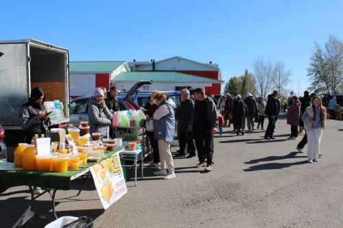Мясо от 500 рублей, яблоки по 100: в Елабуге открылась сельхозярмарка