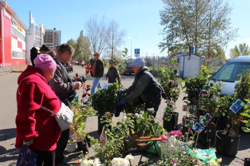 Мясо от 500 рублей, яблоки по 100: в Елабуге открылась сельхозярмарка
