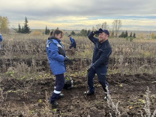 В Елабужском районе высадили более двух тысяч молодых елей