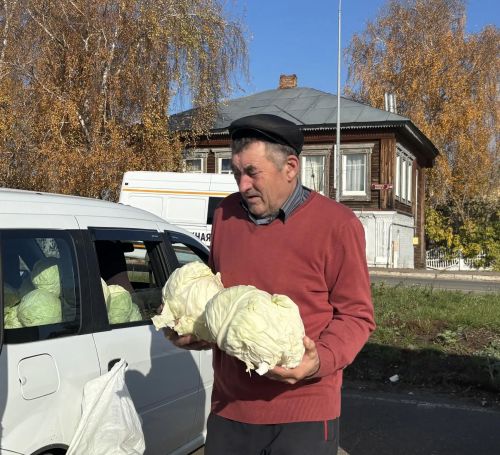 В Елабуге проходит сельскохозяйственная ярмарка с широким ассортиментом товаров