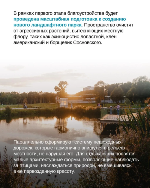 В Елабуге появится пойменный парк — «Шишкинские просторы»