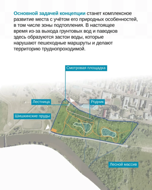В Елабуге появится пойменный парк — «Шишкинские просторы»